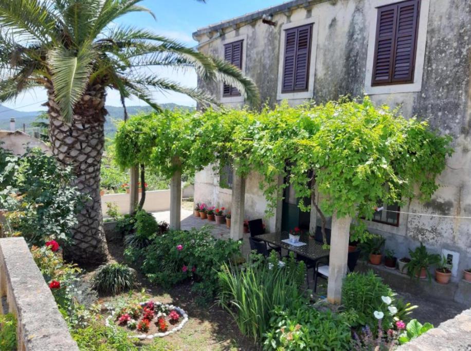 Villa Gardenia House Janjina Esterno foto